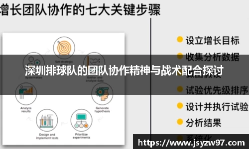 xingkong.com深圳排球队的团队协作精神与战术配合探讨